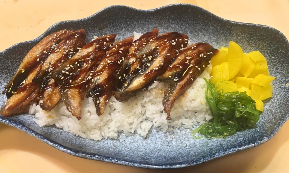 Grilled eel over rice at Kendo Sushi, a Japanese Restaurant in Philadelphia.